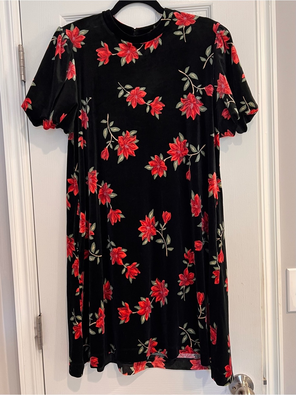 Velvet Draper James RSVP Black Shift Dress Crewneck Poinsettia Print L Holiday
